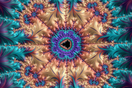 1116211 (a): :3683x2463